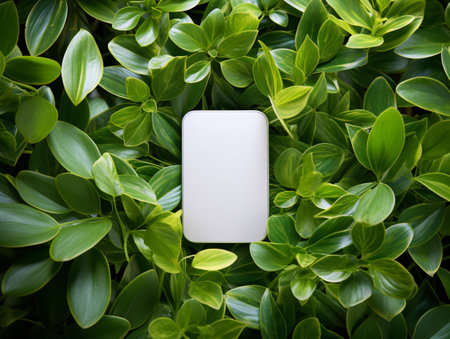 White smartphone on green leaves background. Top view, flat lay.の素材