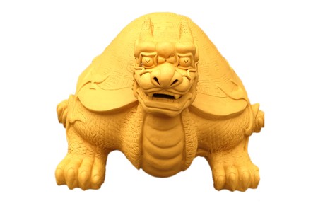 turtleの写真素材