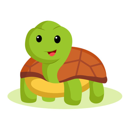 Turtle Character Design Illustration