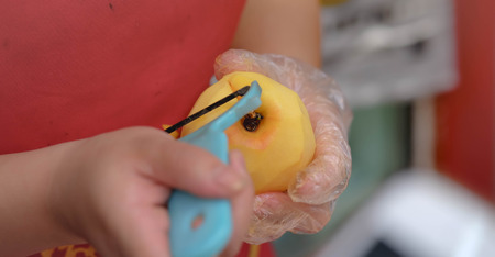 The hand of woman is cutting apple for making salad and for sell in traveler.の写真素材