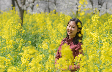 Wuhan East Lake Sakura Garden. Unspecific woman standing at the yellow flower at the east lake park. Its one of the destination for travel.の写真素材