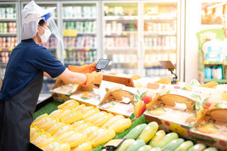 Female hand holding and arranging fresh mango fruit in the tray prepare for customer choose and buy for eat. The organic mango are high quality and high price for good health.のeditorial素材