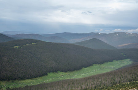 View of the green meadow with coniferous on the road of the of rocky mountains in the cloudy day in Summer, Colorado.の写真素材