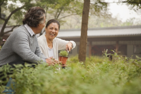 Smiling senior couple in gardenの写真素材