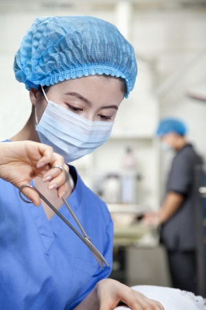 Veterinarian performing surgeryの写真素材