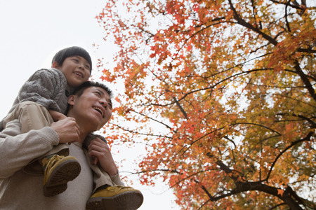 Little boy sitting on his fathers shoulders, walking through the park in autumnの写真素材