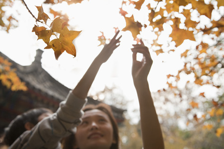 Mother and son reaching for a leaf on a branch in the autumnの写真素材