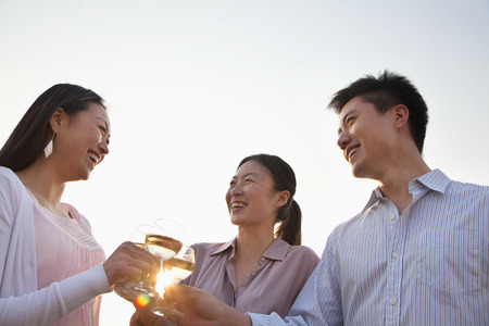 Group of Friends Toasting Each Other on Rooftop at Sunsetの写真素材
