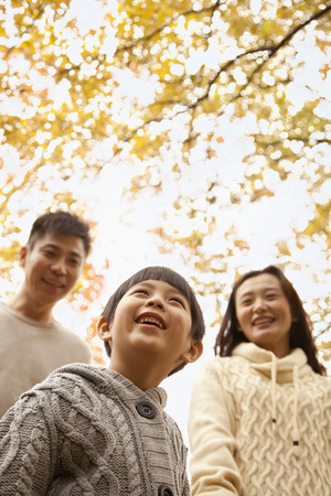 Family walking through the park in the autumn, low angle viewの写真素材