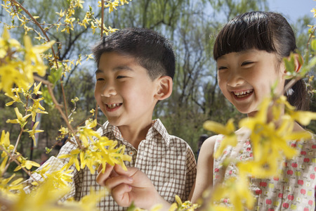 Smiling young boy and girl looking at the yellow blossoms on the tree in the park in springtimeの写真素材