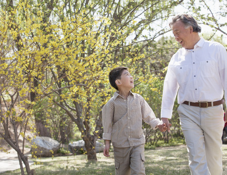Smiling grandfather and grandson holding hands and going for a walk in the park in springtimeの写真素材