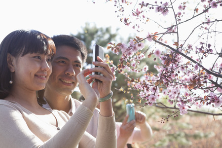 Smiling couple taking a photograph of a branch with cherry blossoms, outside in a park in the springtimeの写真素材