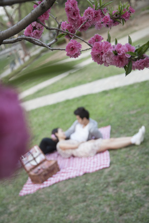 Blossoms in the foreground and young couple lying on a blanket having a picnic blurred in the backgroundの写真素材