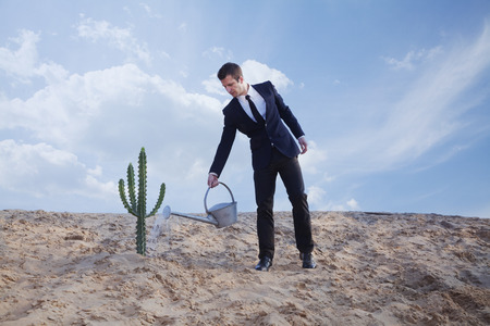 Young businessman watering a cactus in the desertの写真素材
