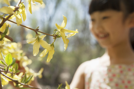 Smiling young girl looking at the yellow blossoms on the tree in the park in springtimeの写真素材