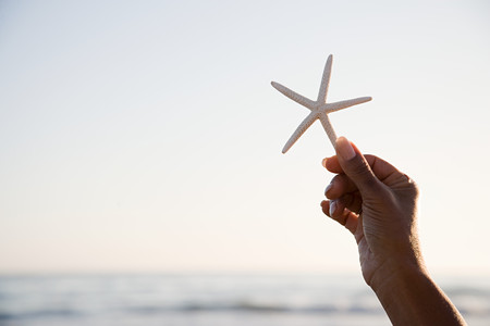 Woman holding a starfishの写真素材