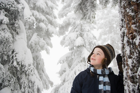 Boy in snowy forestの写真素材