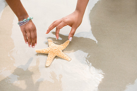 Mother and daughter picking up starfishの写真素材