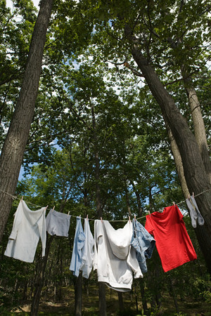 Laundry hanging between treesの写真素材