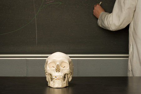 Human skull on a classroom deskの写真素材