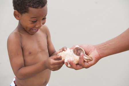 Finding seashells at the beach