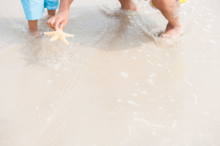 Finding seashells at the beach