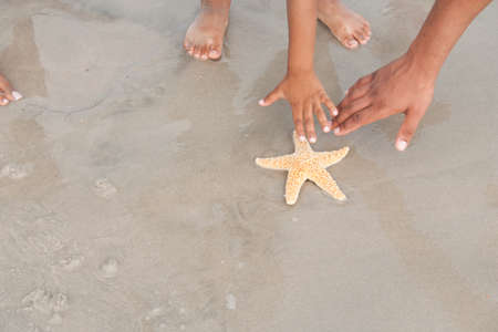 Finding seashells at the beach