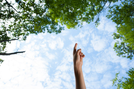 Hand pointing at sky in natureの写真素材