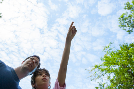 Father and son pointing at sky together in natureの写真素材