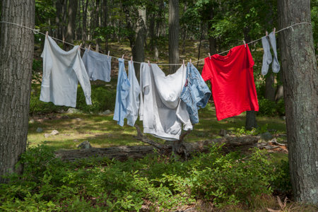 Clothes hung up to dry at campsiteの写真素材