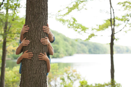 Hands on tree in natureの写真素材