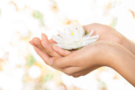 Hands holding flower in studio