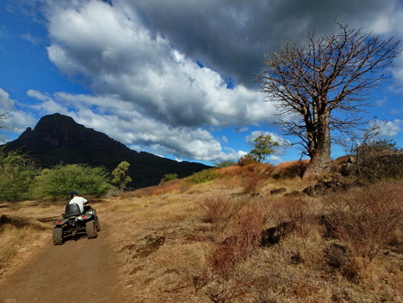 Mauritius wasteland sceneryの写真素材