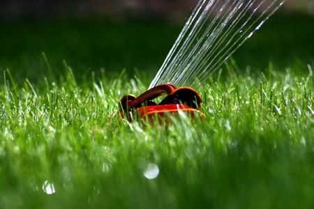A sprinkler watering a lawnの写真素材