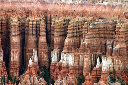A view of some hoodoos in Bryce Canyonの写真素材