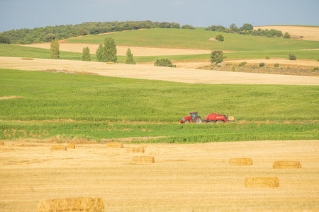 summer landscape in the center of the Iberian Peninsula. Freshly mowed wheat field. The farmer collecting straw bales with his tractor.のeditorial素材