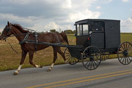 AN AMISH Horse and Buggy ride in Lancaster, PA