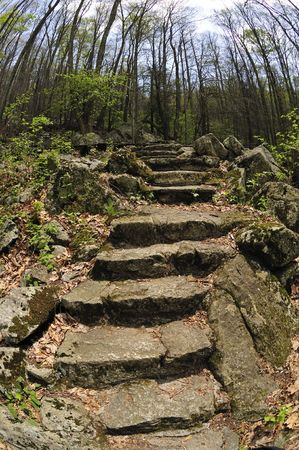Old Stone Steps in the Blue Ridge Mountains