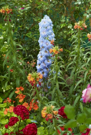 Many Types of Flowers in a Gardenの写真素材