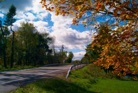 Fall Colors upstate New Yorkの写真素材