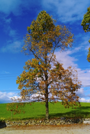 Fall Colors upstate New Yorkの写真素材