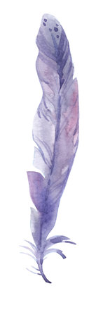Colored bird feather. Hand-made illustration. Watercolor nature clipart.の写真素材