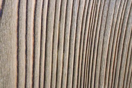 embossed wood textureの写真素材