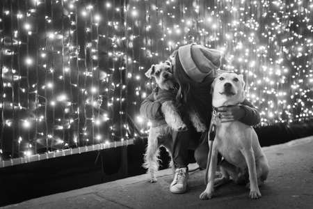 Black and white portrait of a woman with her dogs on a cold night with lights on the backgroundの写真素材