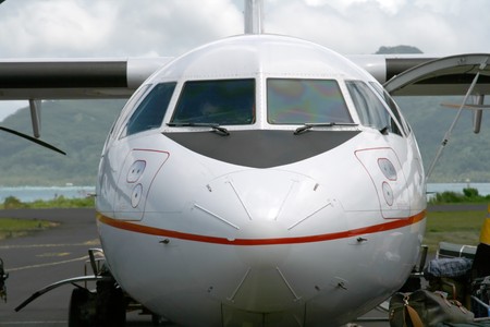 tropical domestic airline plane on the parking