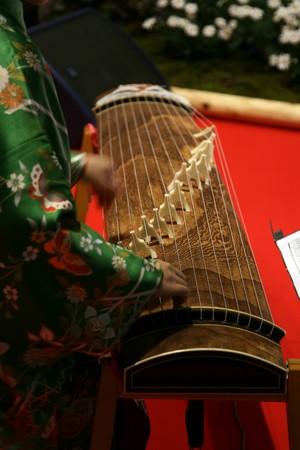 traditional japanese string cithara playingの写真素材