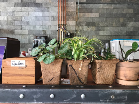 Plants in pots on a shelf in a coffee shop or restaurant
