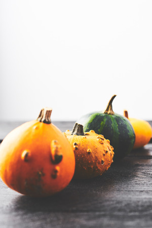 Rustic autumn background. Yellow, green and orange pumpkins on a black wooden table over white background with copy space.の写真素材