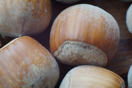 Close-up view of dirty hazelnutsの写真素材