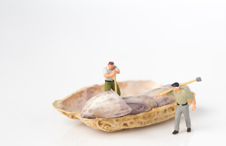 lumberman with peanut on white backgroundの写真素材